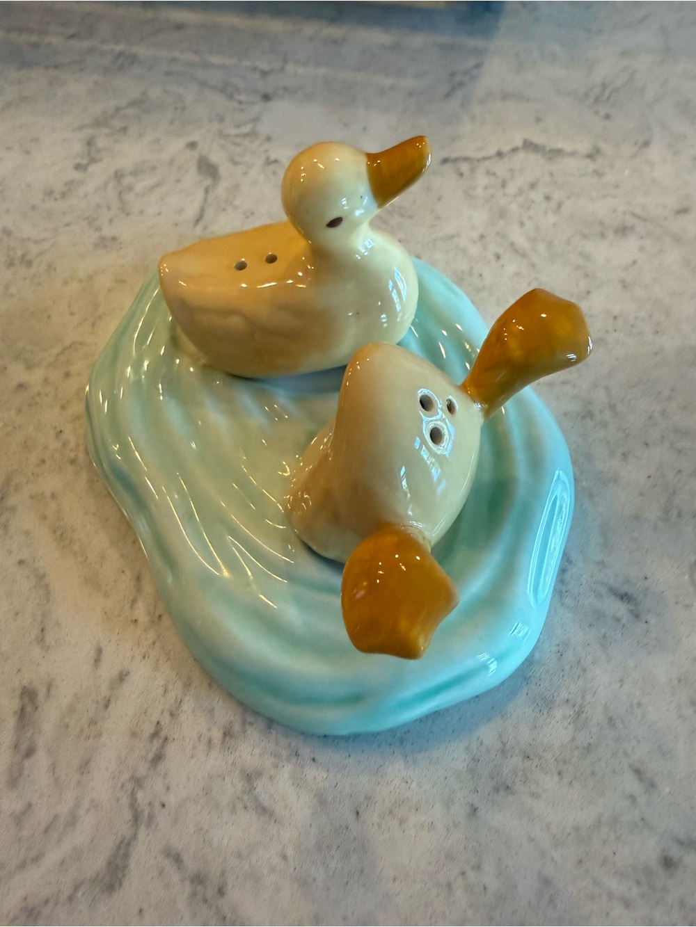New Grasslands Road Duck Salt & Pepper Set